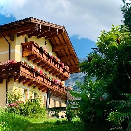 Alpen Appartements Oberlehengut Werfenweng Ngoại thất bức ảnh