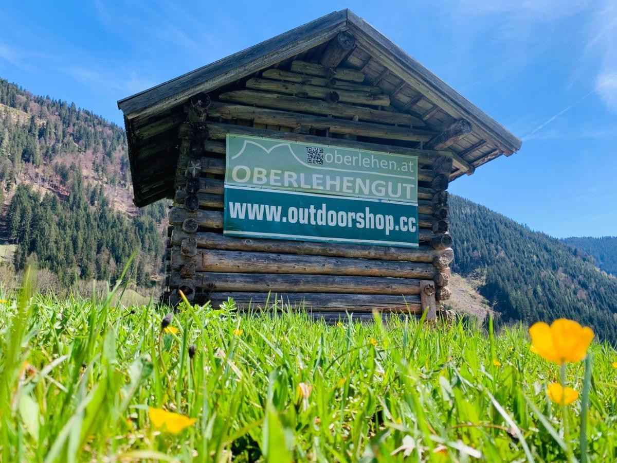 Alpen Appartements Oberlehengut Werfenweng Ngoại thất bức ảnh