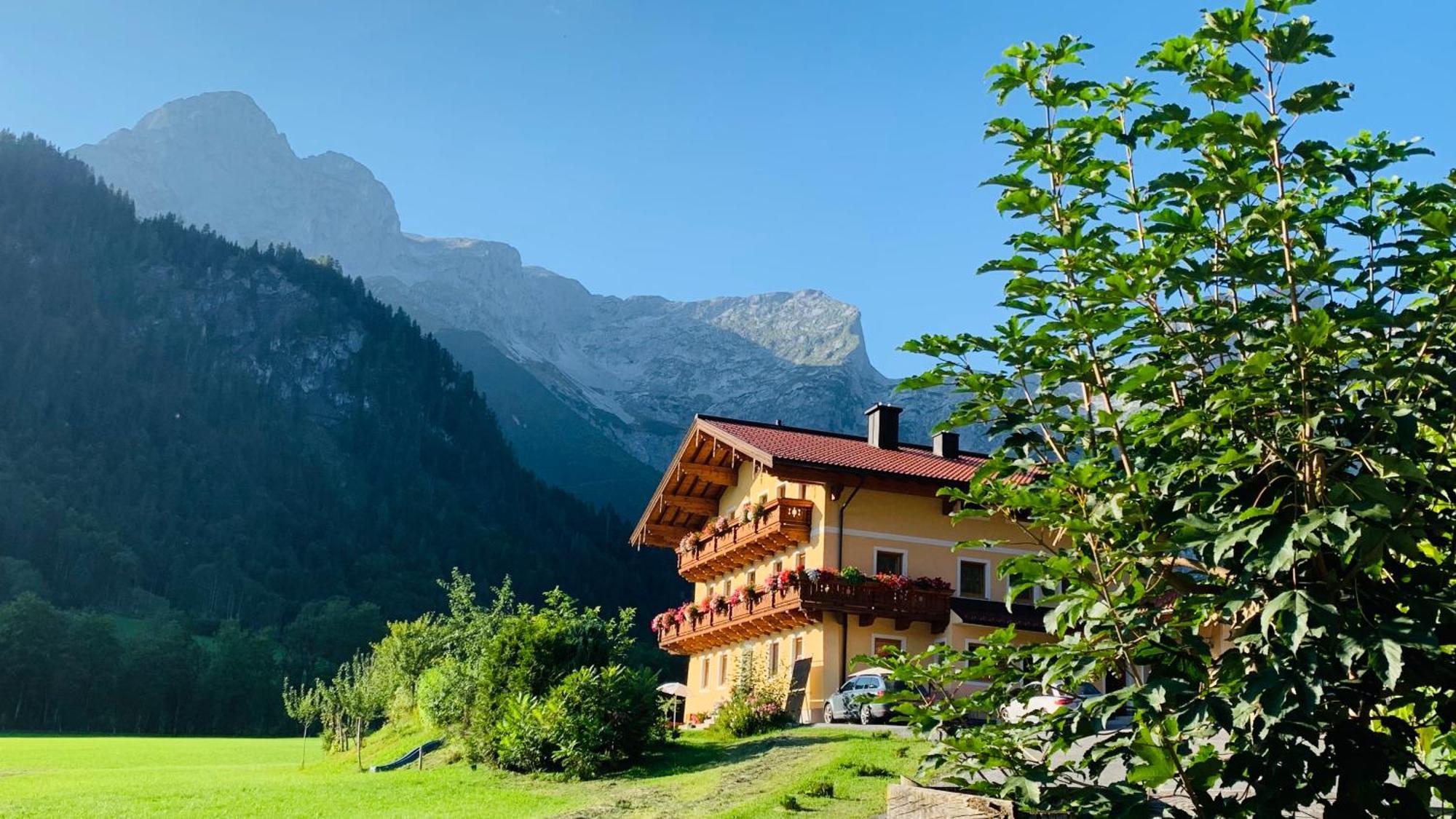 Alpen Appartements Oberlehengut Werfenweng Ngoại thất bức ảnh