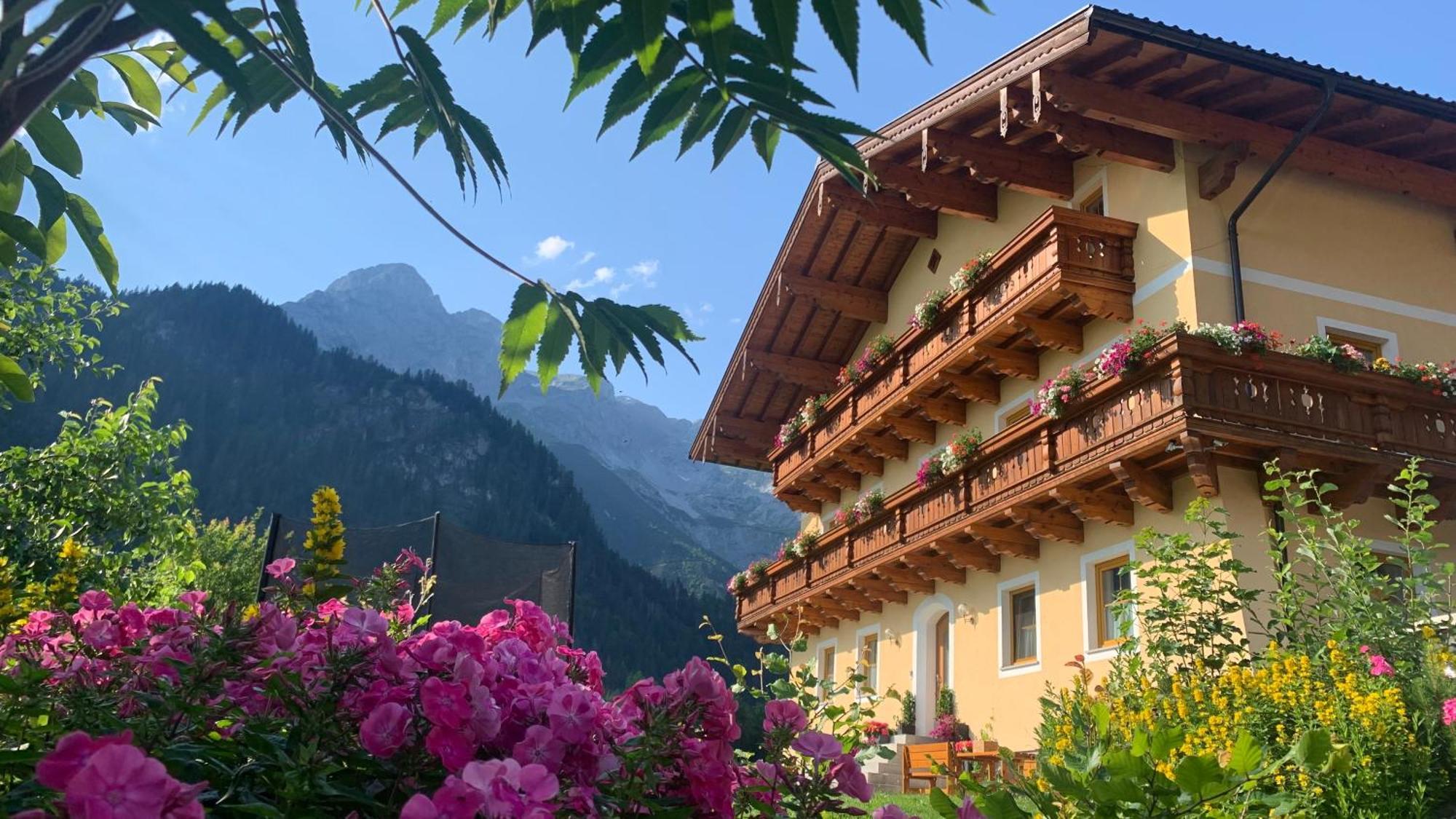 Alpen Appartements Oberlehengut Werfenweng Ngoại thất bức ảnh