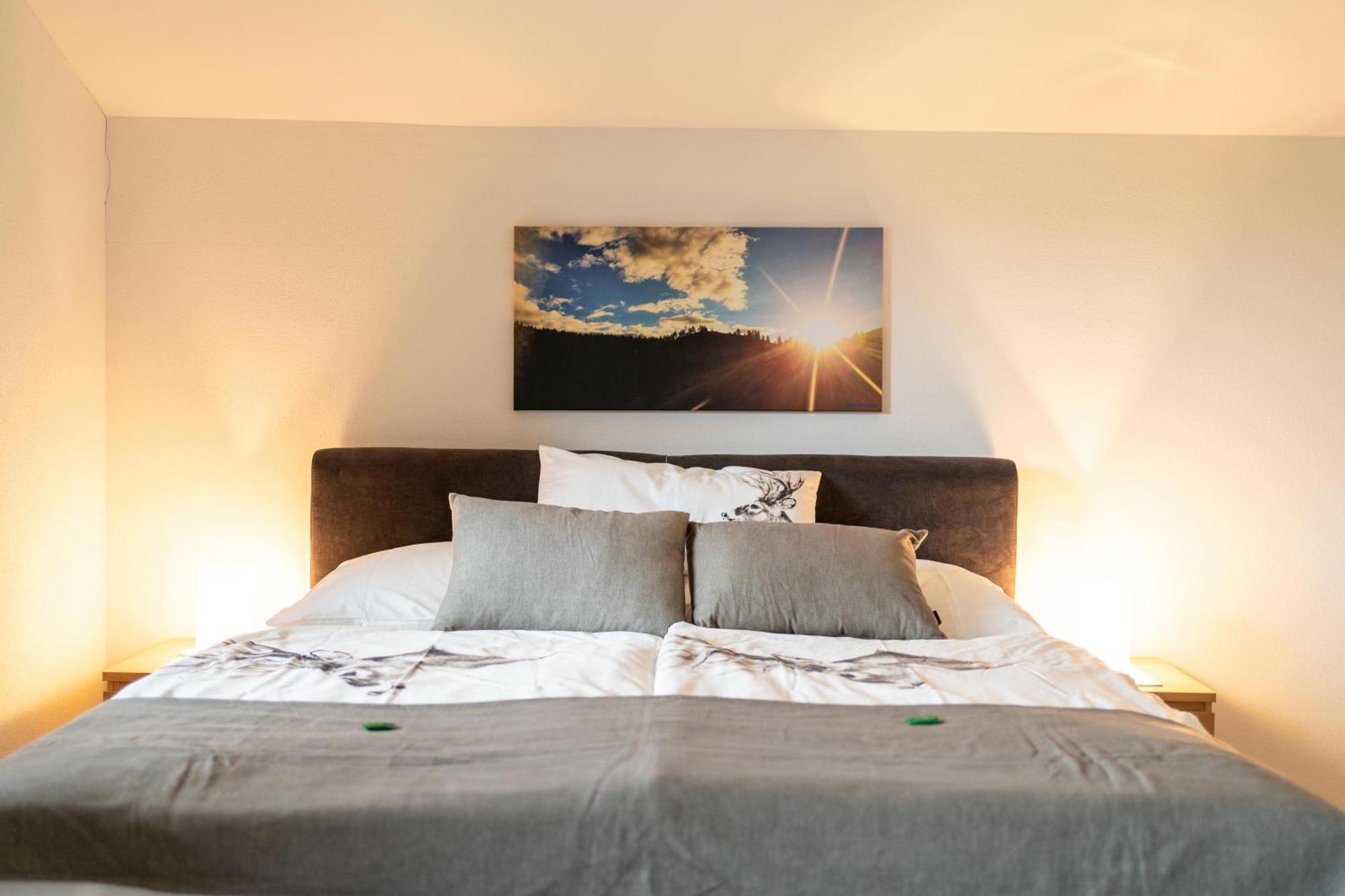Alpen Appartements Oberlehengut Werfenweng Ngoại thất bức ảnh