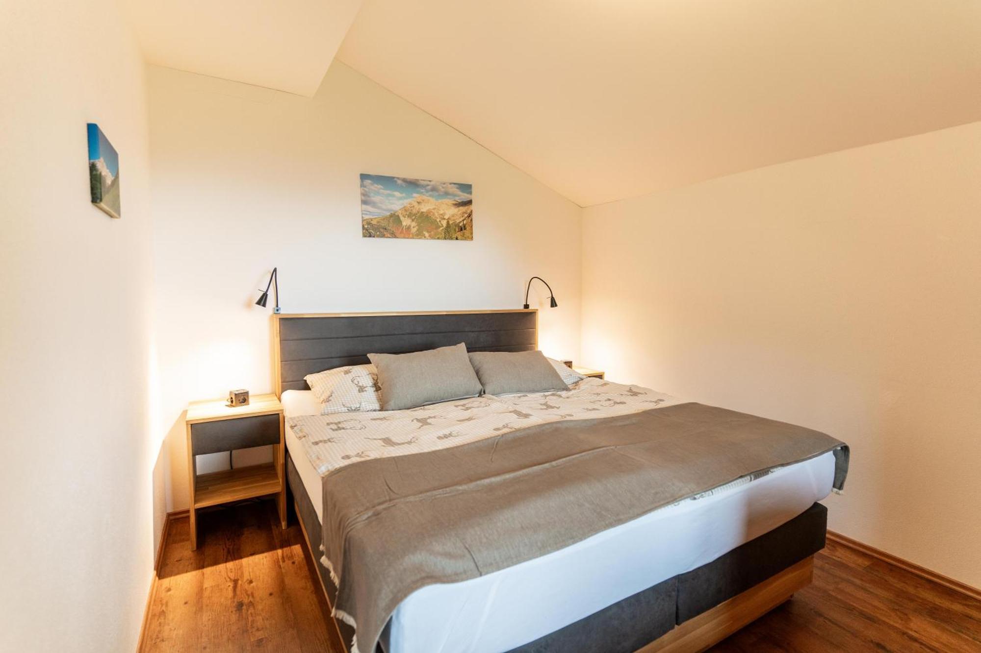 Alpen Appartements Oberlehengut Werfenweng Ngoại thất bức ảnh